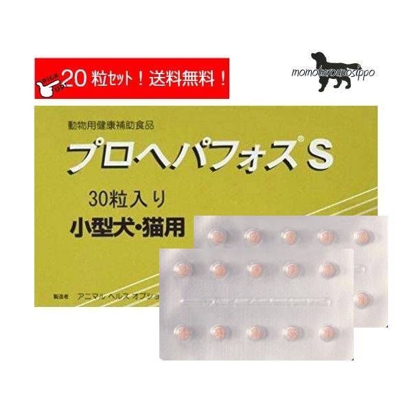 犬用健康管理用品 6 S 犬の人気商品 通販 価格比較 価格 Com