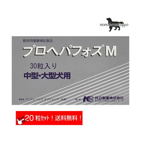  vwptHXM   (^E^pj ̏d15kg`28kg 12 10(10×2V[g)  i|Xgցj