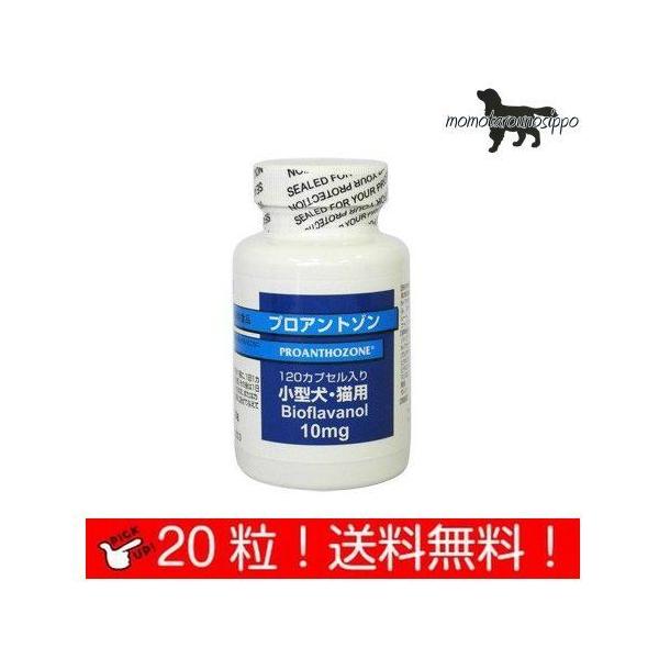  vAg]10mg ^ELp 20JvZ Ii|Xgցj