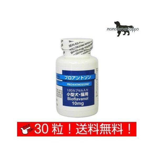  vAg]10mg ^ELp 30JvZ Ii|Xgցj