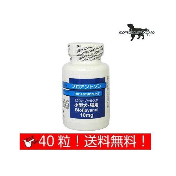  vAg]10mg ^ELp 40JvZ Ii|Xgցj