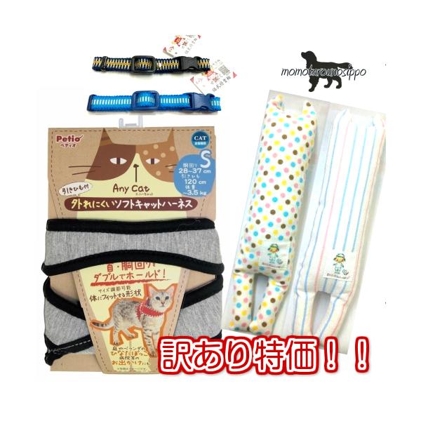 󂠂 yeBI Anycat n[lXVv S O[  ʂ ^cRփZbg outletIʌIi|Xgցj