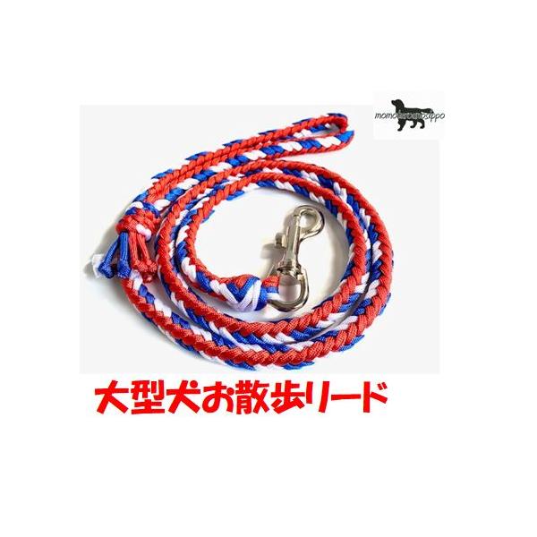 PARACORD LEAD パラシュートコード お散歩リード 大型犬 8本編み