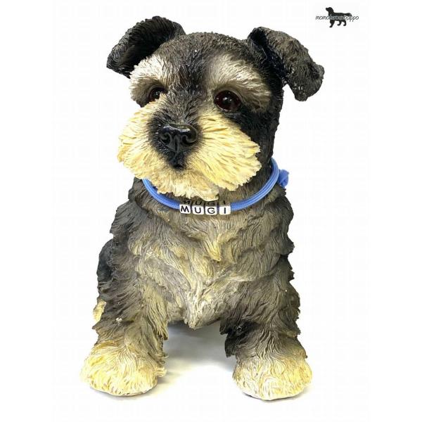 PARACORD TAG pV[gR[h l[^OiJ[FA XJCu[j\tg`[N i|Xgցj