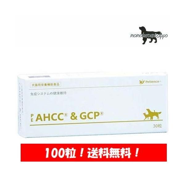 yQIXzPE AHCC&amp;GCP  Lp 100  (10×10V[g)i|Xgցj