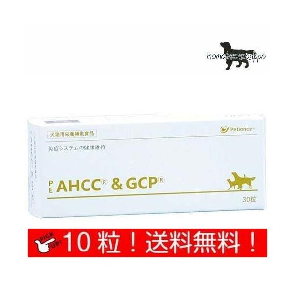 【新品】犬猫用健康補助 イムノファーストAHCC 3箱＋17包 新品】犬猫用健康補助 イムノファーストAHCC 3箱＋17包 - メルカリ