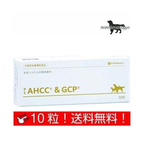 yQIXzPE AHCC&amp;GCP  Lp ̏d1kg`4kg 11 10(10×1V[g) i|Xgցj