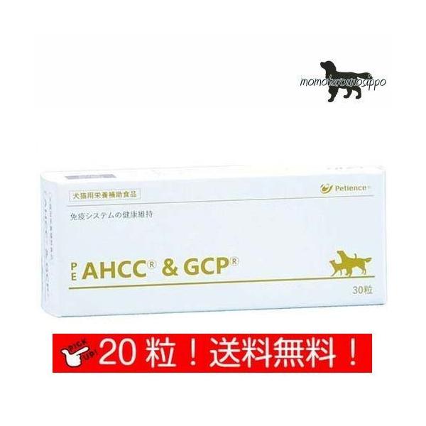 yQIXzPE AHCC&amp;GCP  Lp ̏d5kg`9kg 12 10 (10×2V[g)i|Xgցj