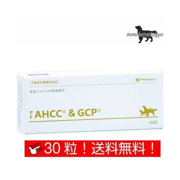 yQIXzPE AHCC&amp;GCP  Lp ̏d10kg`14kg 13 10 (10×3V[g)i|Xgցj