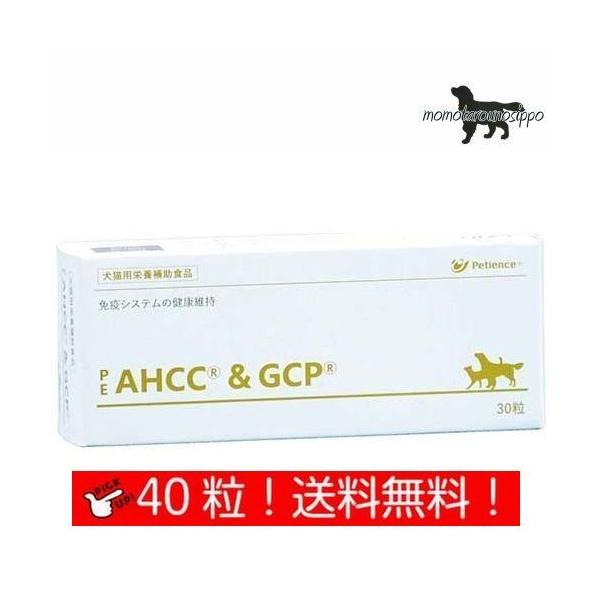 yQIXzPE AHCC&amp;GCP  Lp ̏d15kg`19kg 14 10 (10×4V[g)i|Xgցj