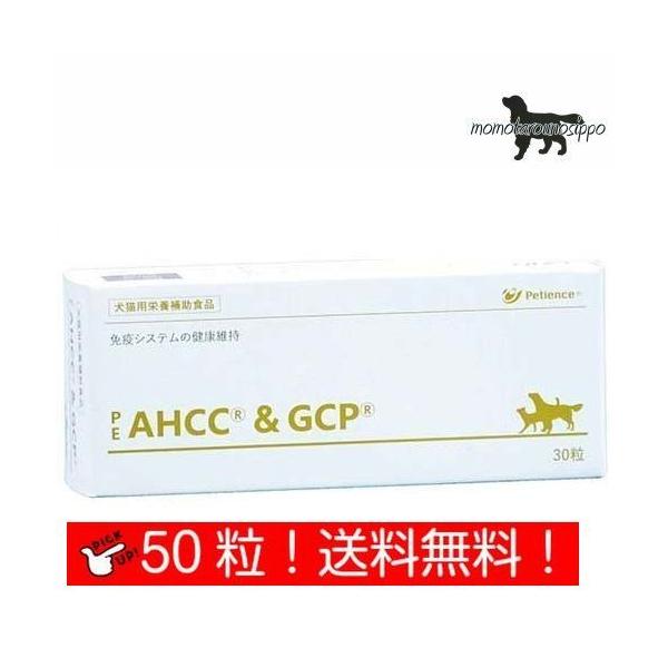 yQIXzPE AHCC&amp;GCP  Lp ̏d20kg`24kg 15 10 (10×5V[g)i|Xgցj