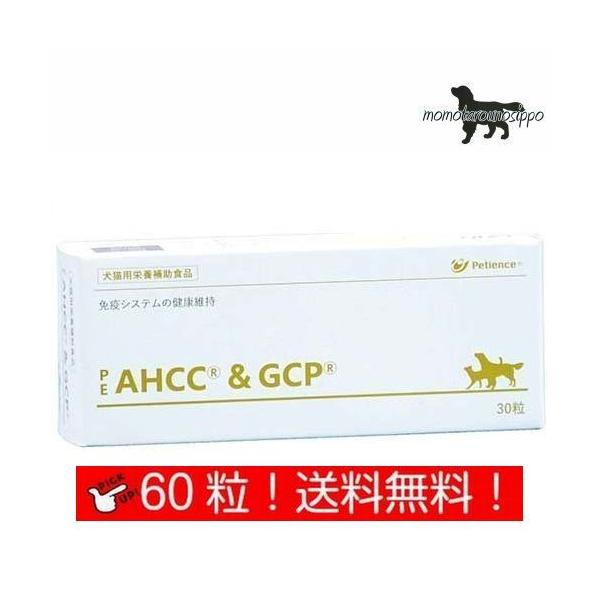 yQIXzPE AHCC&amp;GCP  Lp ̏d25kg`30kg 16 10 (10×6V[g)i|Xgցj