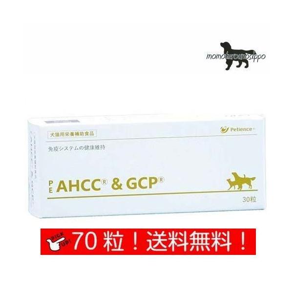 yQIXzPE AHCC&amp;GCP  Lp 70  (10×7V[g)i|Xgցj