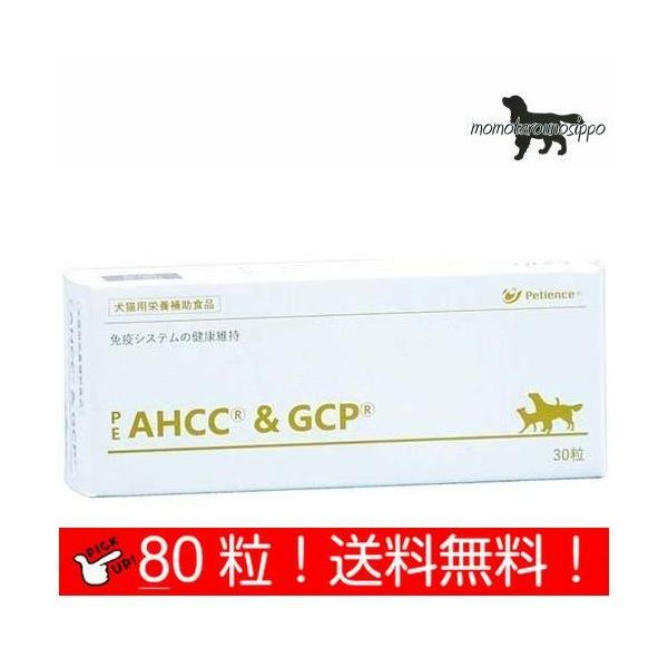 yQIXzPE AHCC&amp;GCP  Lp 80  (10×8V[g)i|Xgցj