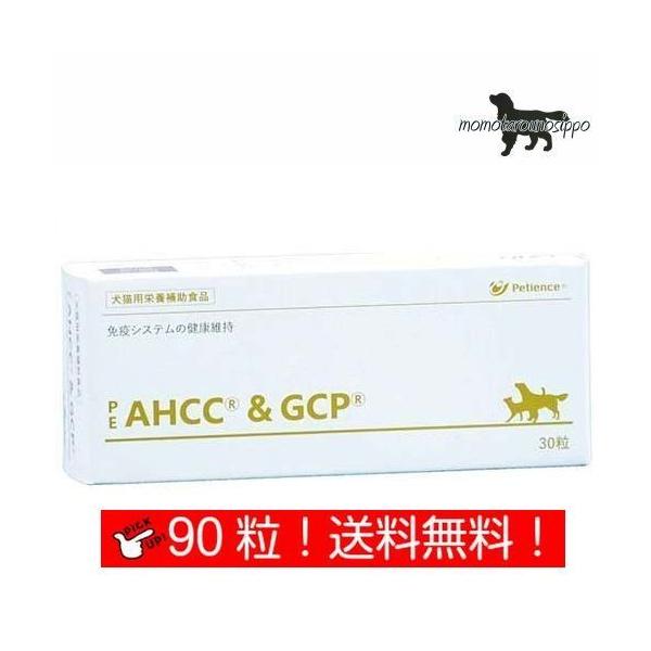 yQIXzPE AHCC&amp;GCP  Lp 90  (10×9V[g)i|Xgցj