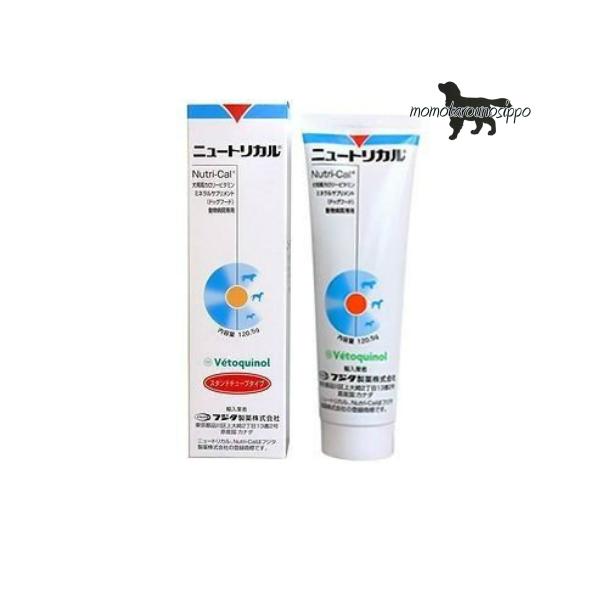 j[gJ 1P[Xi120.5g×12jp itW^j ph{⏕Hi