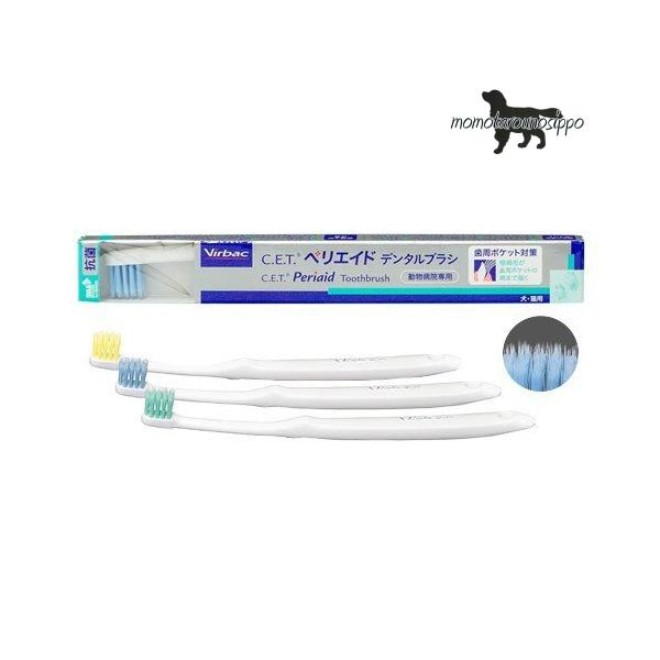 robN CETyGChf^uV Lp ll5܂ŁIi|Xgցj