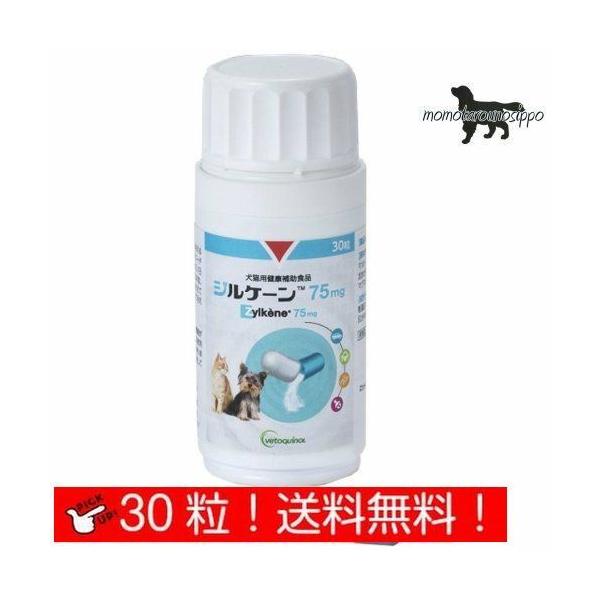 WP[ 75mg Lp   30JvZ() {SH  i|Xgցj