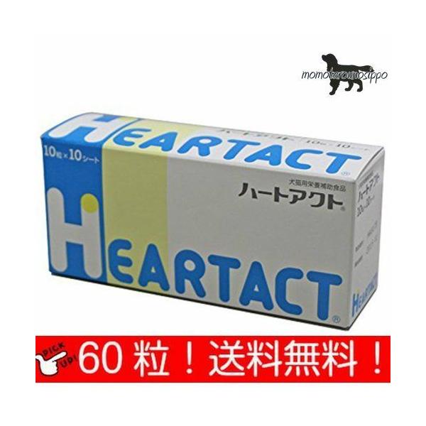 {SH n[gANg p 10×6V[g (60) i|Xgցj