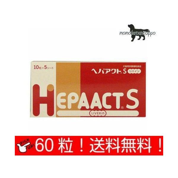 wpANgS oC p 10×6V[g (60) i|Xgցj