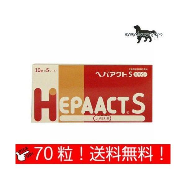 wpANgS oC p 10×7V[g (70) i|Xgցj