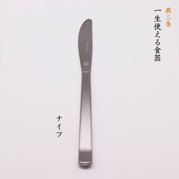 燕三条 一生使える食器 ナイフ 日本製 ステンレス オリジナル刻印入り