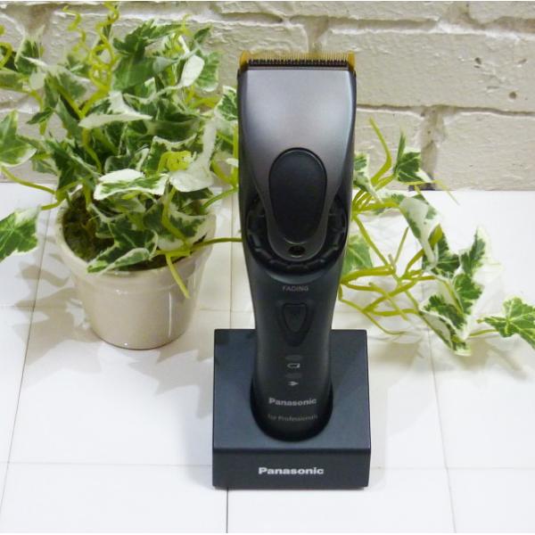 Panasonic（パナソニック） ［送料無料(北海道・沖縄、離島除く)] プロ