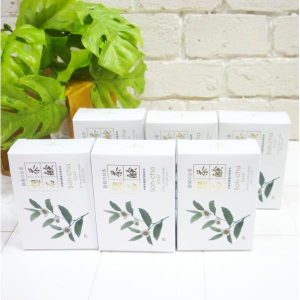 6Zbg É̂@zΌ@100g