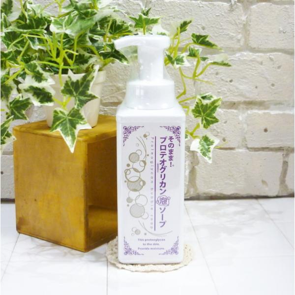 ̂܂܁IveIOJA\[v 500ml A^Cv痿