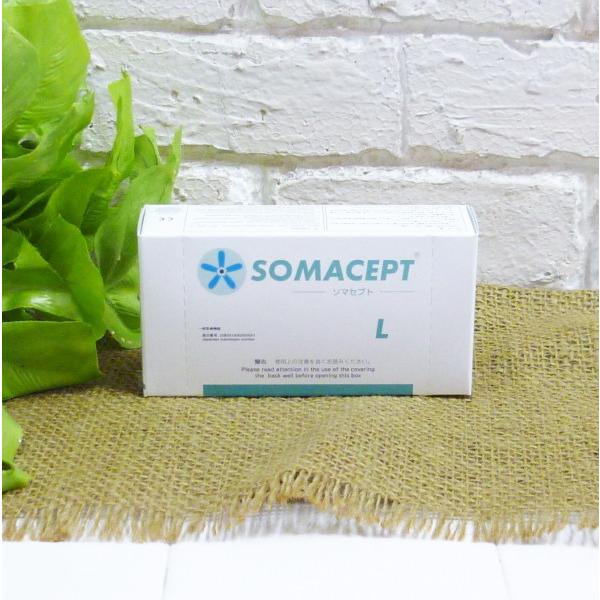 y|Cg10{z[(kCEE)] \}Zvg L(a7mm) 100