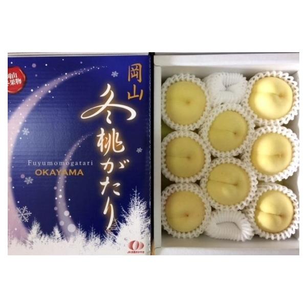 \̔I11{yΕz  R~yǕiE󂠂!z  6`12 1.3kg