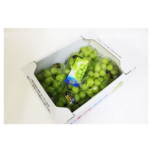 uYivԂǂ VC}XJbg yԏGz 3`6[(2kg) uRYvJAS_܁ykCEʓr1500z