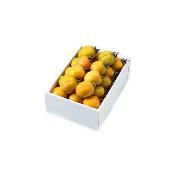 ` yGiz 2L`3L(5kg) RY