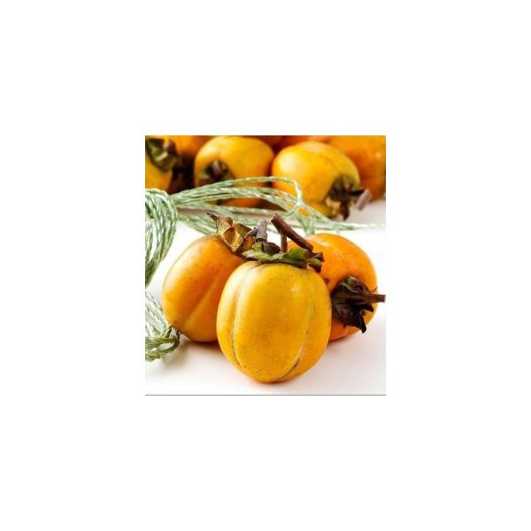 ` yDiz 2L`3L(3kg) RY