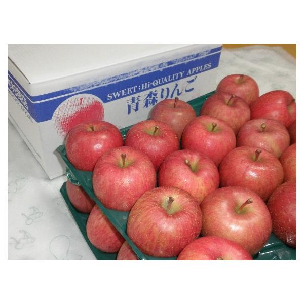 yΕzXYzςтuTӂv݂10kg(36`40)񂲁Eь