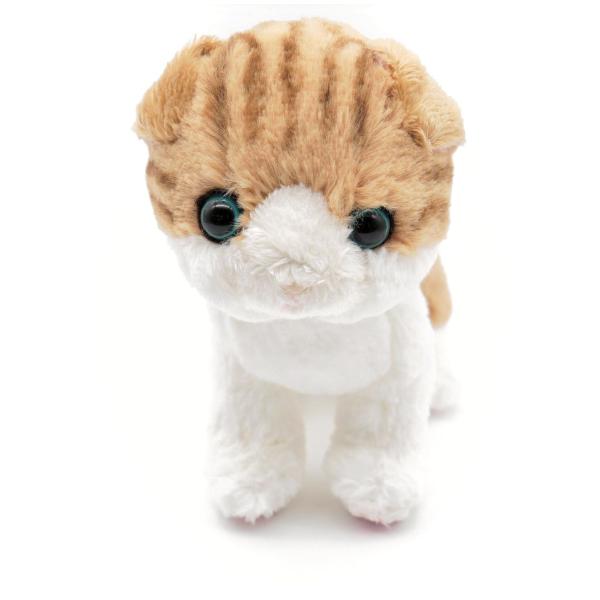 他サイト： キトンＳ スコティッシュフォールド ＢＲ ぬいぐるみ 犬猫 動物 ギフト プレゼント 誕生日 お祝い 幼児 子供の商品画像