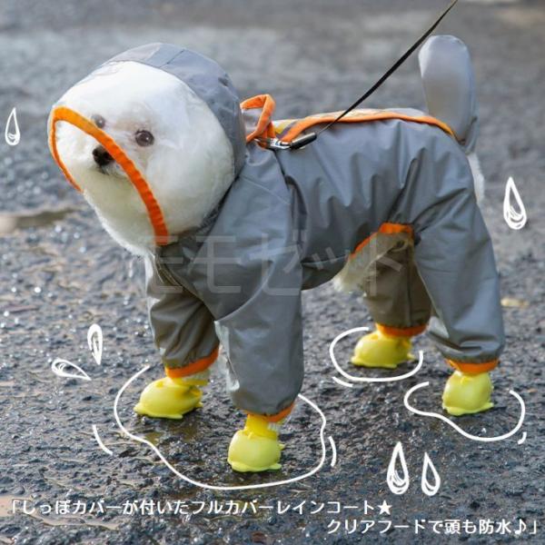 momozetto-y_rain008