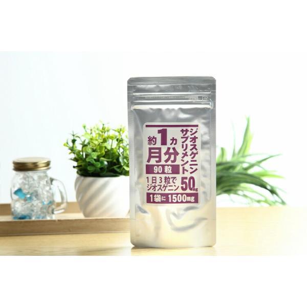 【ネコポス】ジオスゲニン約1500mgジオスゲニンサプリメント 90粒 栄養補助食品