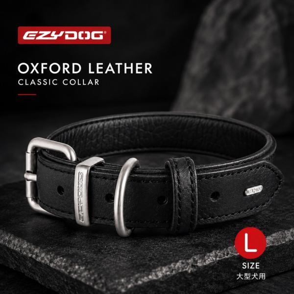 EZYDOG レザーカラー Lサイズ イージードッグ OXFORD LEATHER CLASSIC COLLAR |中型犬