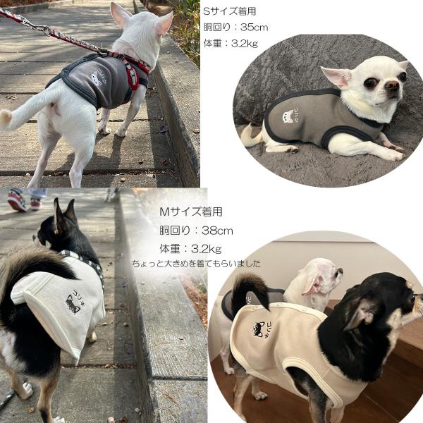 ���� �~ ���p�x�X�g ���N�� ��100�� ������h�J �����|�C���g�h�J ���{�� �x�X�g �h�b�O�E�F�A �Ód�C���N���ɂ����f�� ���ɂ₳���� �q���� S M L 1219 �M�t�g ���i�摜1