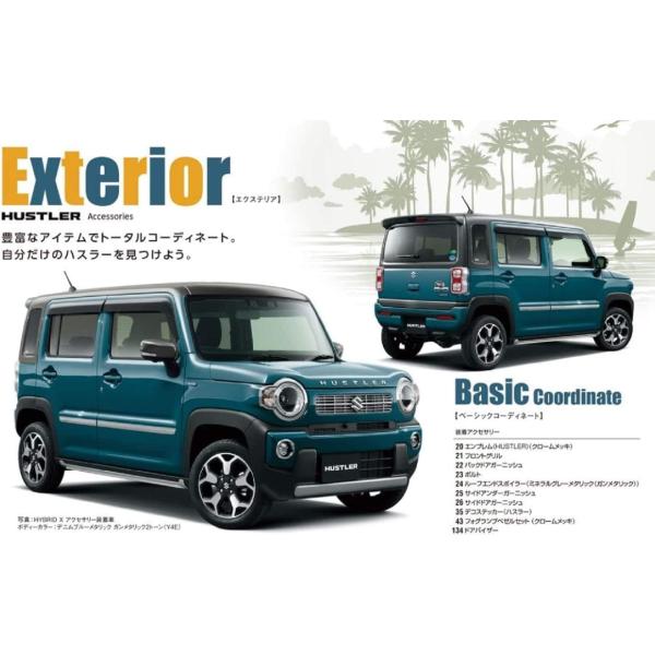 monkeys_b0c4shyz1v_2_d_20241024151238