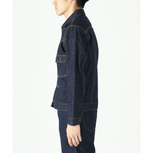 monkeys_jbgj1000_2_d_20241021135643