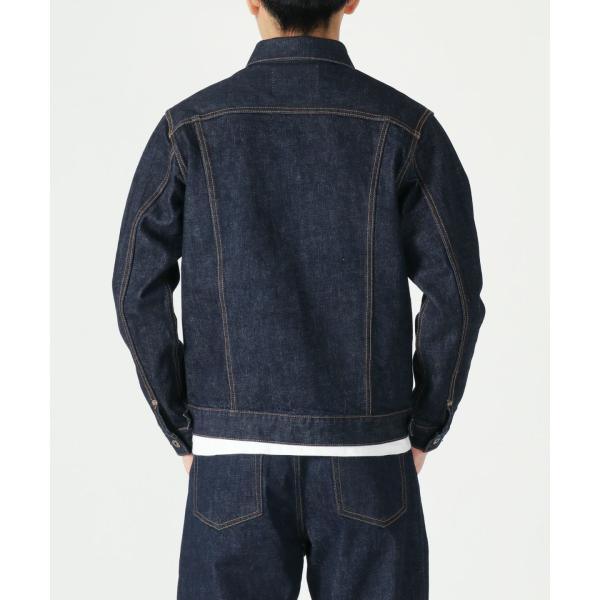 monkeys_jbgj1000_3_d_20241021135645