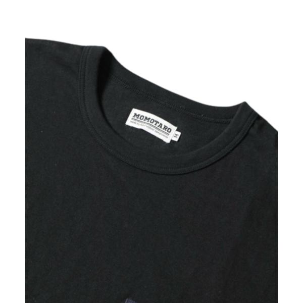 monkeys_mt003_5_d_20230315140618