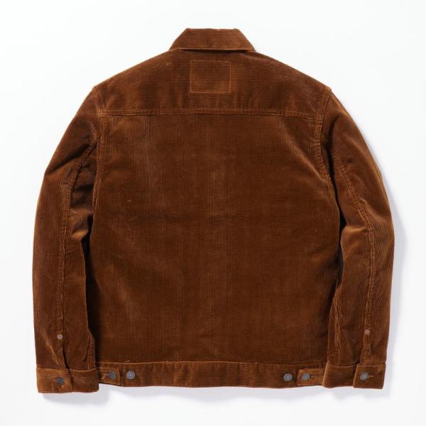 monkeys_mxot1100_2_d_20240307162758