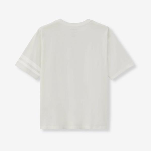 monkeys_mxts1035_5_d_20260313155707