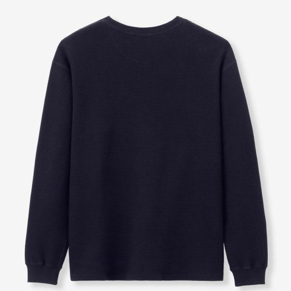 monkeys_mxts1036_2_d_20241228155033