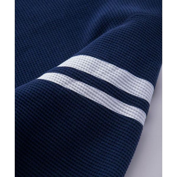 monkeys_mzts0079_4_d_20240309105322