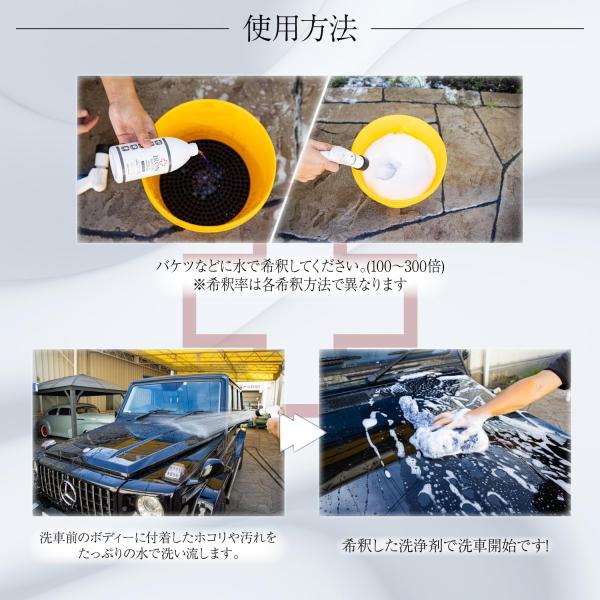 monkeys_spsn-238-1_4_d_20250214101835