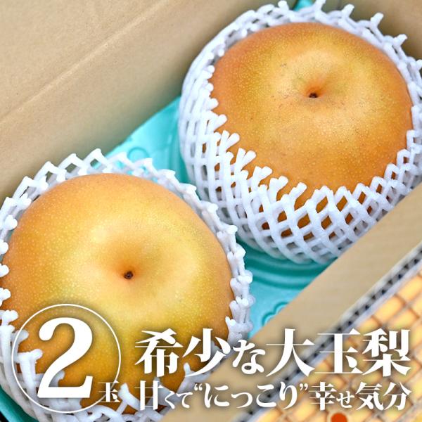梨様 梨 秀品 2玉(大玉) 送料無料 なし ナシ にっこり梨 果物 フルーツ 旬